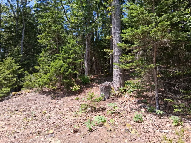 $79,900 | 50 Bunchberry Lane, Bristol, ME 04558