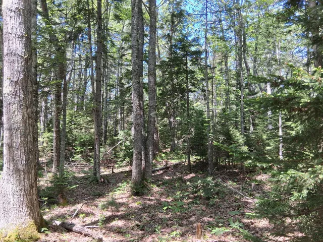 $79,900 | 50 Bunchberry Lane, Bristol, ME 04558