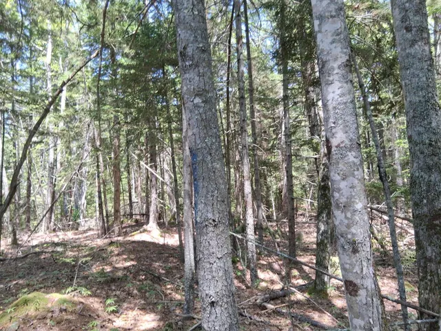 $79,900 | 50 Bunchberry Lane, Bristol, ME 04558