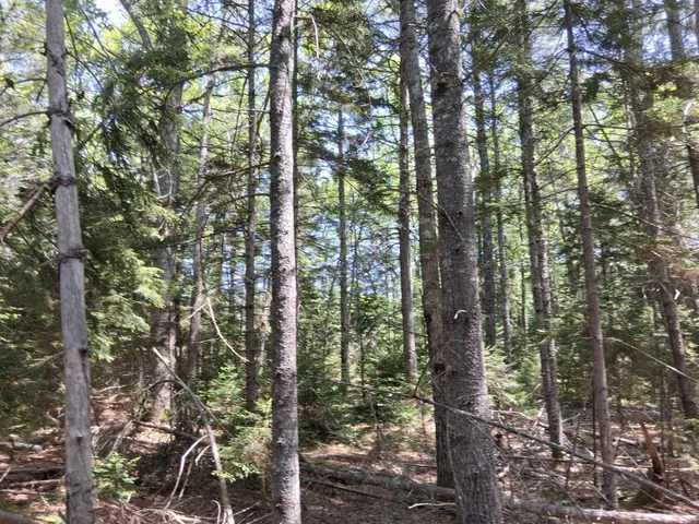 $79,900 | 50 Bunchberry Lane, Bristol, ME 04558