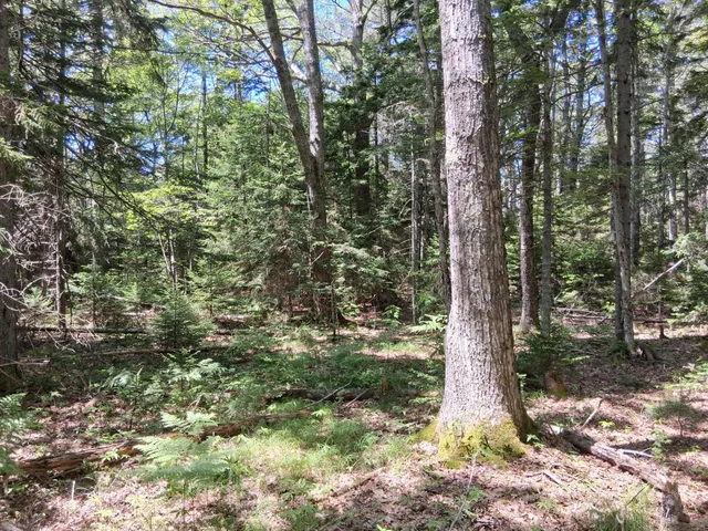 $79,900 | 50 Bunchberry Lane, Bristol, ME 04558