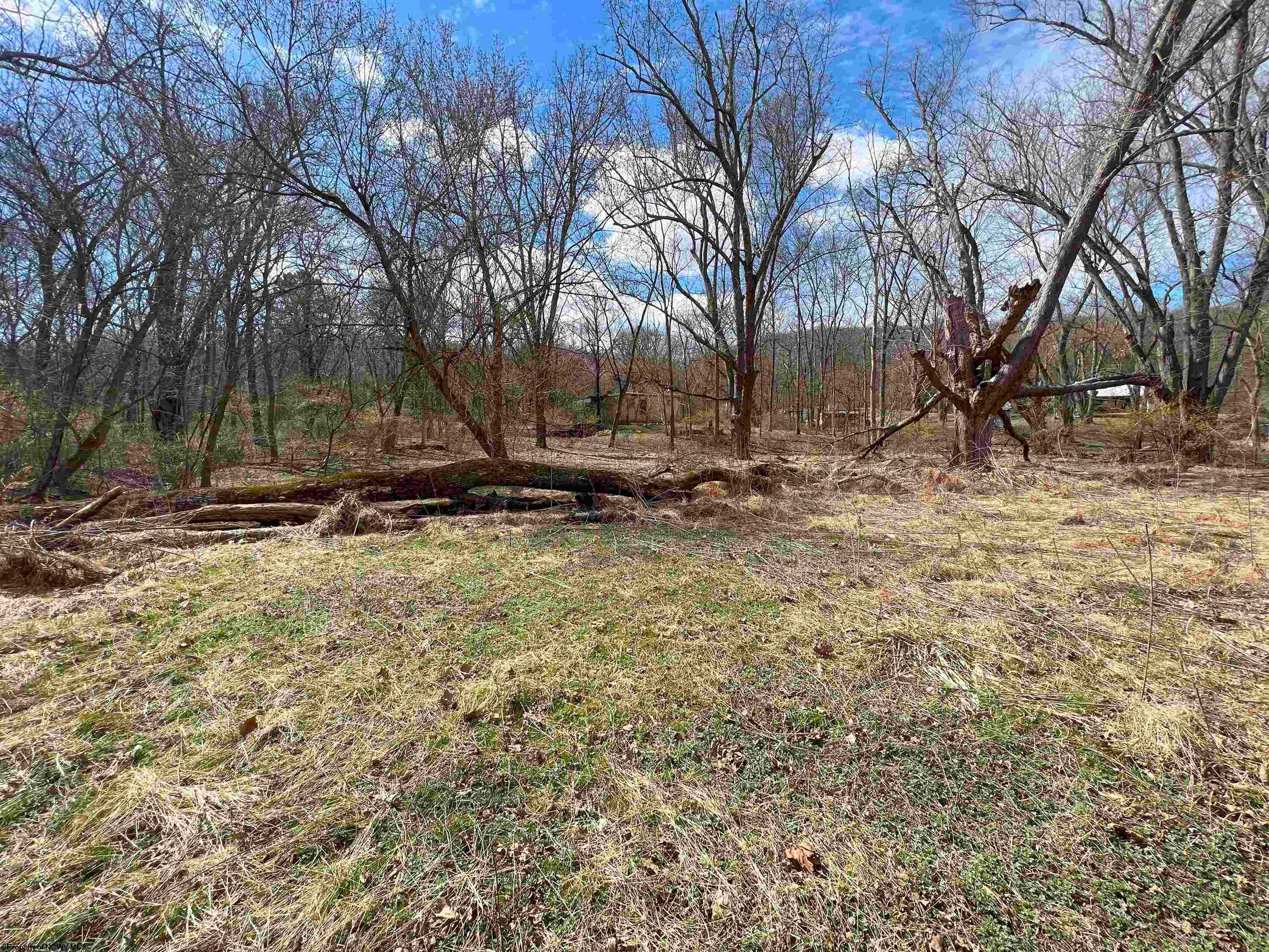 Tbd Walnut Lane Green Spring, WV 26722 - Photo 7 of 10 Gallery Image 7