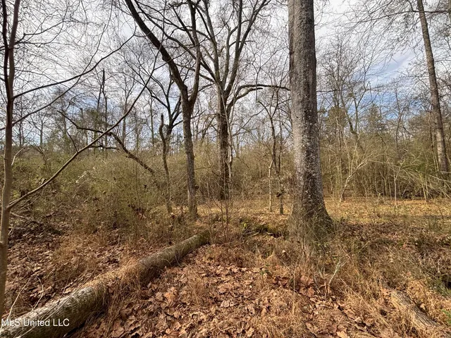 $328,500 | Ms-28, Hazlehurst, MS 39083