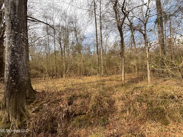 $328,500 | Ms-28, Hazlehurst, MS 39083