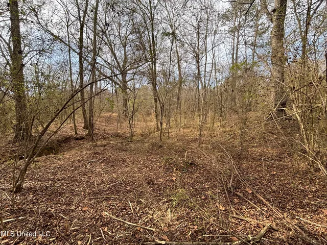 $328,500 | Ms-28, Hazlehurst, MS 39083