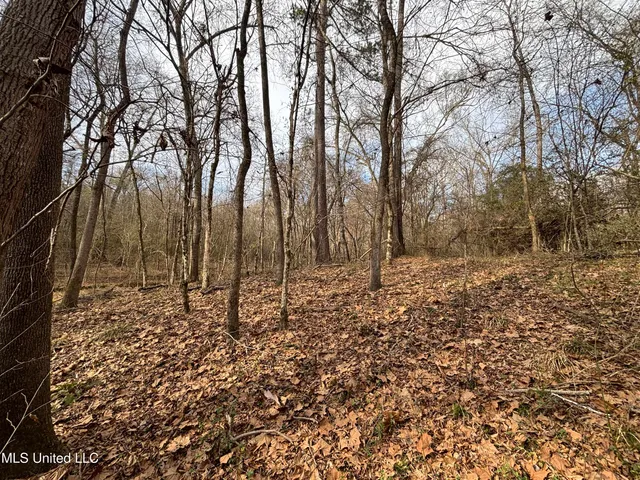 $328,500 | Ms-28, Hazlehurst, MS 39083