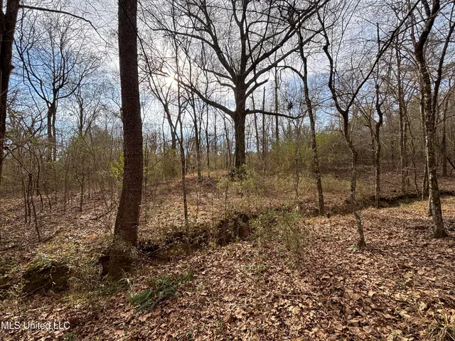 $328,500 | Ms-28, Hazlehurst, MS 39083