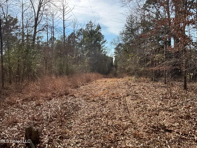 $328,500 | Ms-28, Hazlehurst, MS 39083