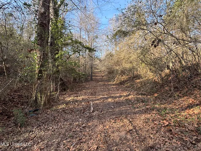 $328,500 | Ms-28, Hazlehurst, MS 39083