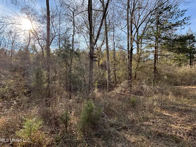 $328,500 | Ms-28, Hazlehurst, MS 39083