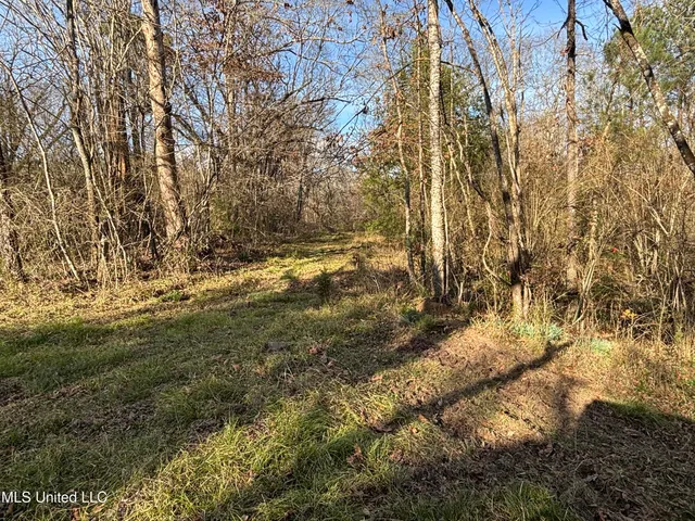 $328,500 | Ms-28, Hazlehurst, MS 39083
