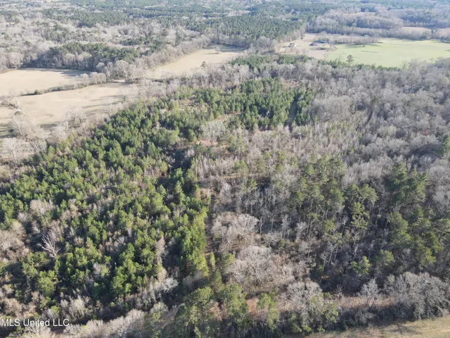 $328,500 | Ms-28, Hazlehurst, MS 39083