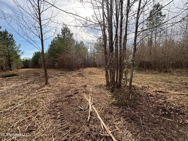 $328,500 | Ms-28, Hazlehurst, MS 39083