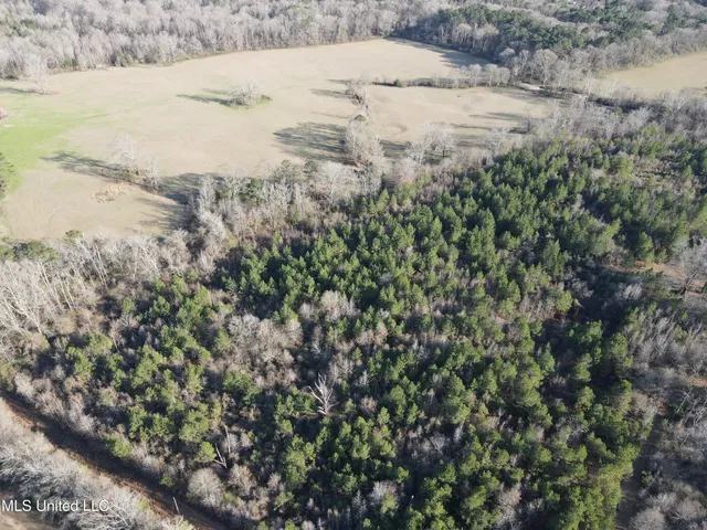 $328,500 | Ms-28, Hazlehurst, MS 39083