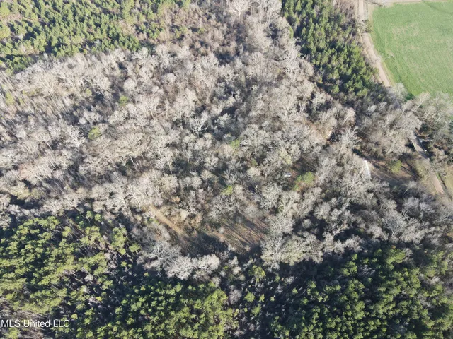 $328,500 | Ms-28, Hazlehurst, MS 39083