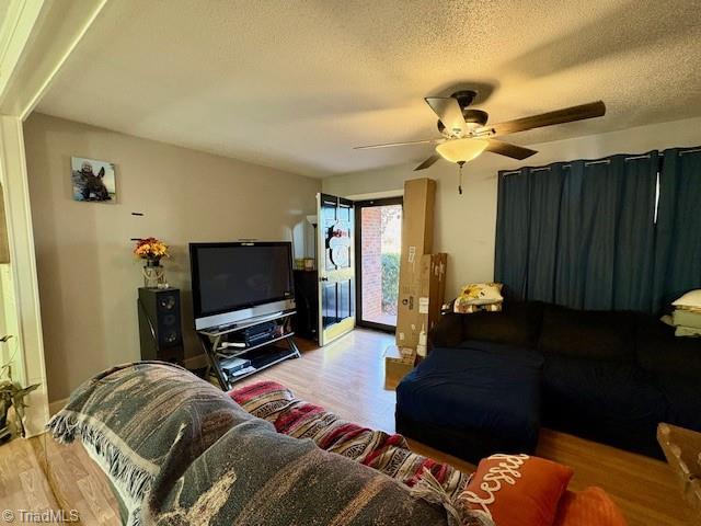 927 Shingle Gap Road Purlear, NC 28665 - Photo 23 of 33 Living Room