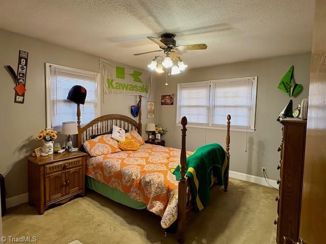 927 Shingle Gap Road Purlear, NC 28665 - Photo 29 of 33 Bedroom (2nd door on right)