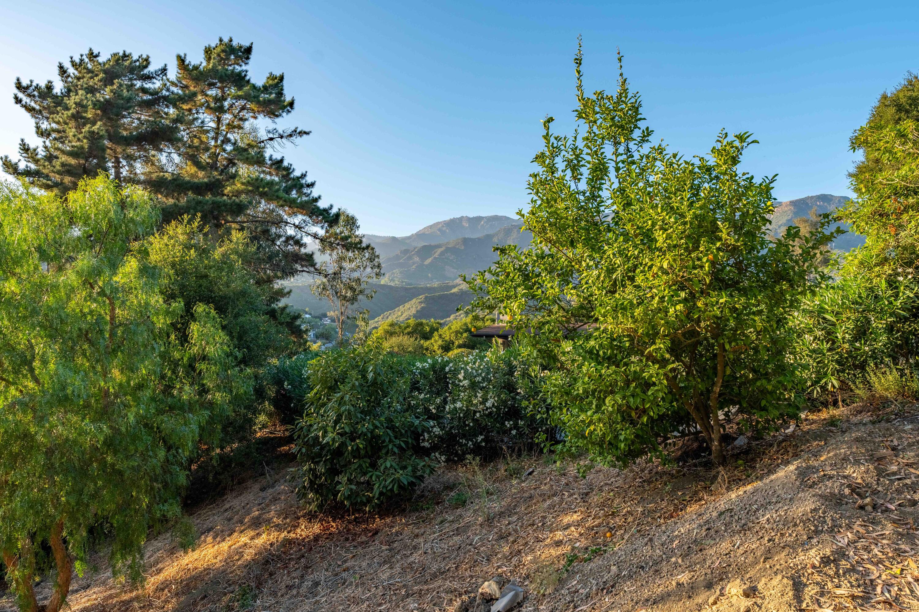 165 Canon View Road Santa Barbara, CA 93108 - Photo 32 of 59 Terrace views - 165 Canon View Rd