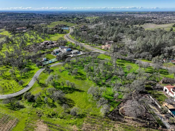 a view of a city with lush green forest