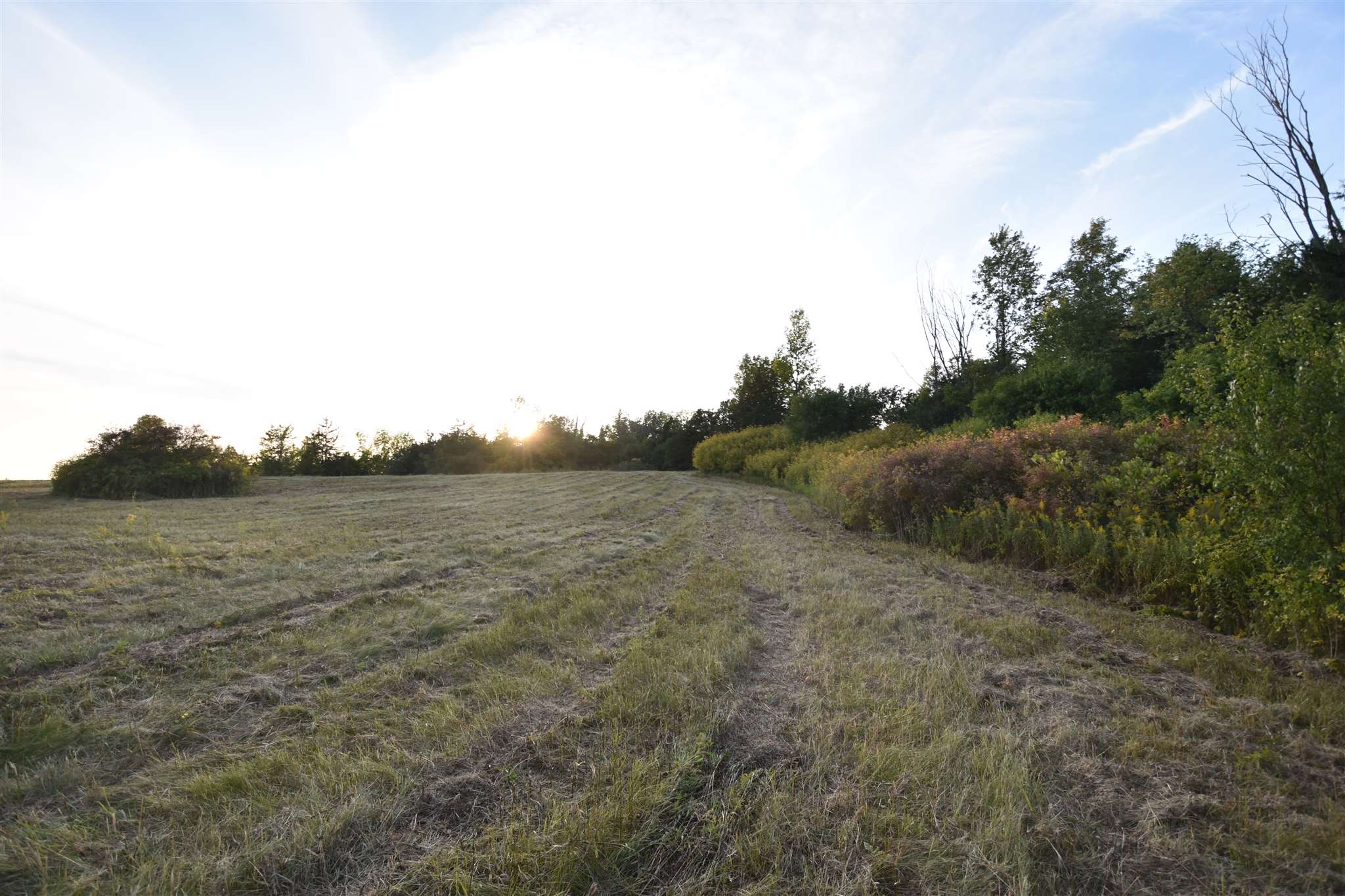 1596 Lake Road, Unit 1 Panton, VT 05491 - Photo 11 of 14