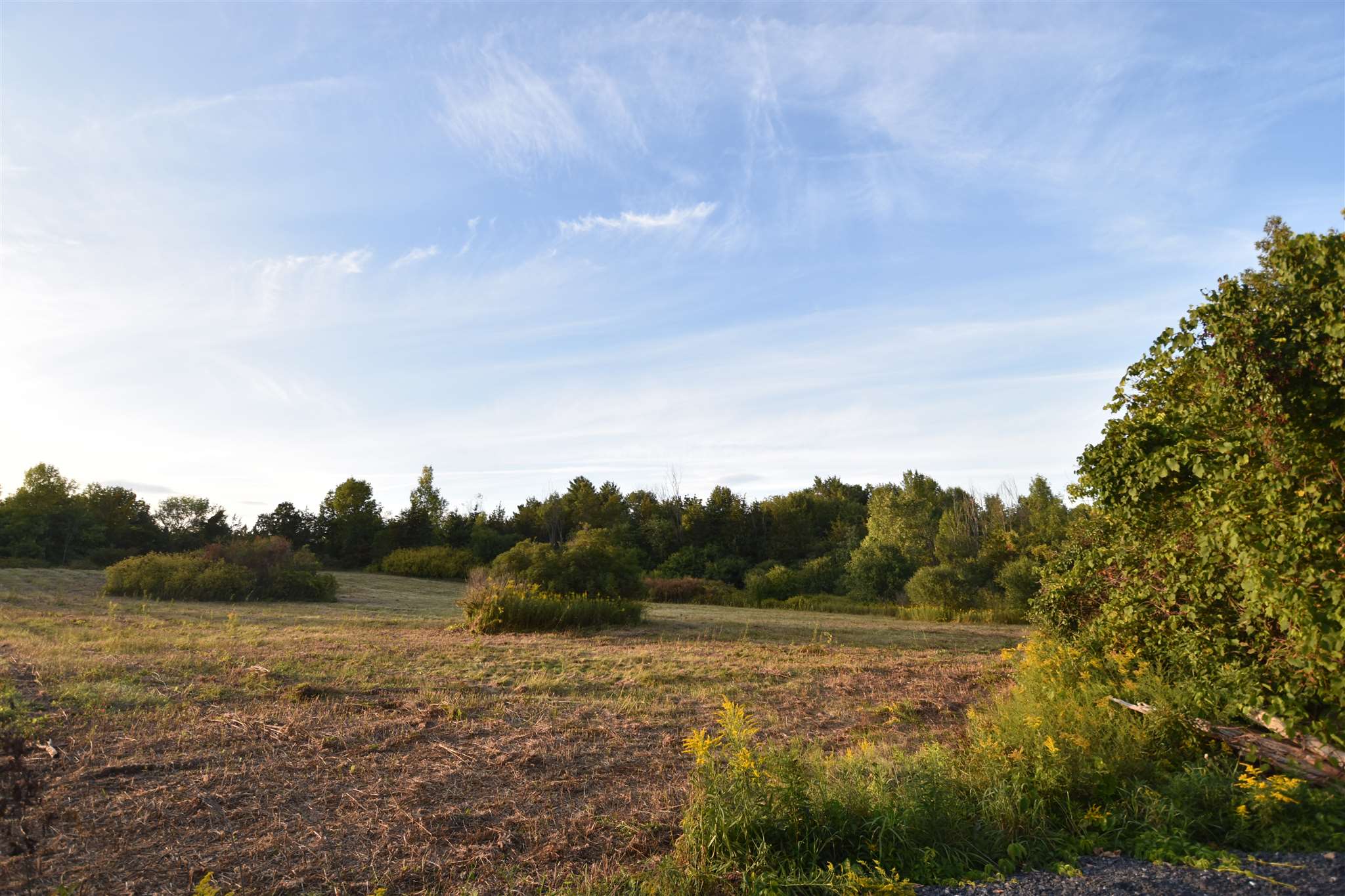 1596 Lake Road, Unit 1 Panton, VT 05491 - Photo 12 of 14