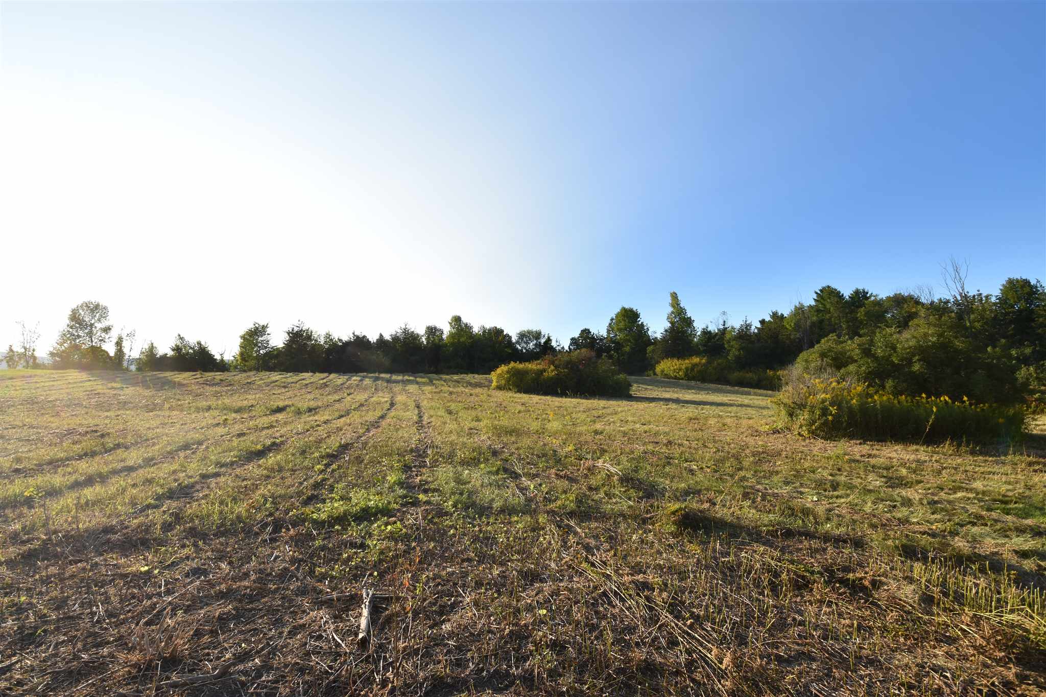 1596 Lake Road, Unit 1 Panton, VT 05491 - Photo 5 of 14
