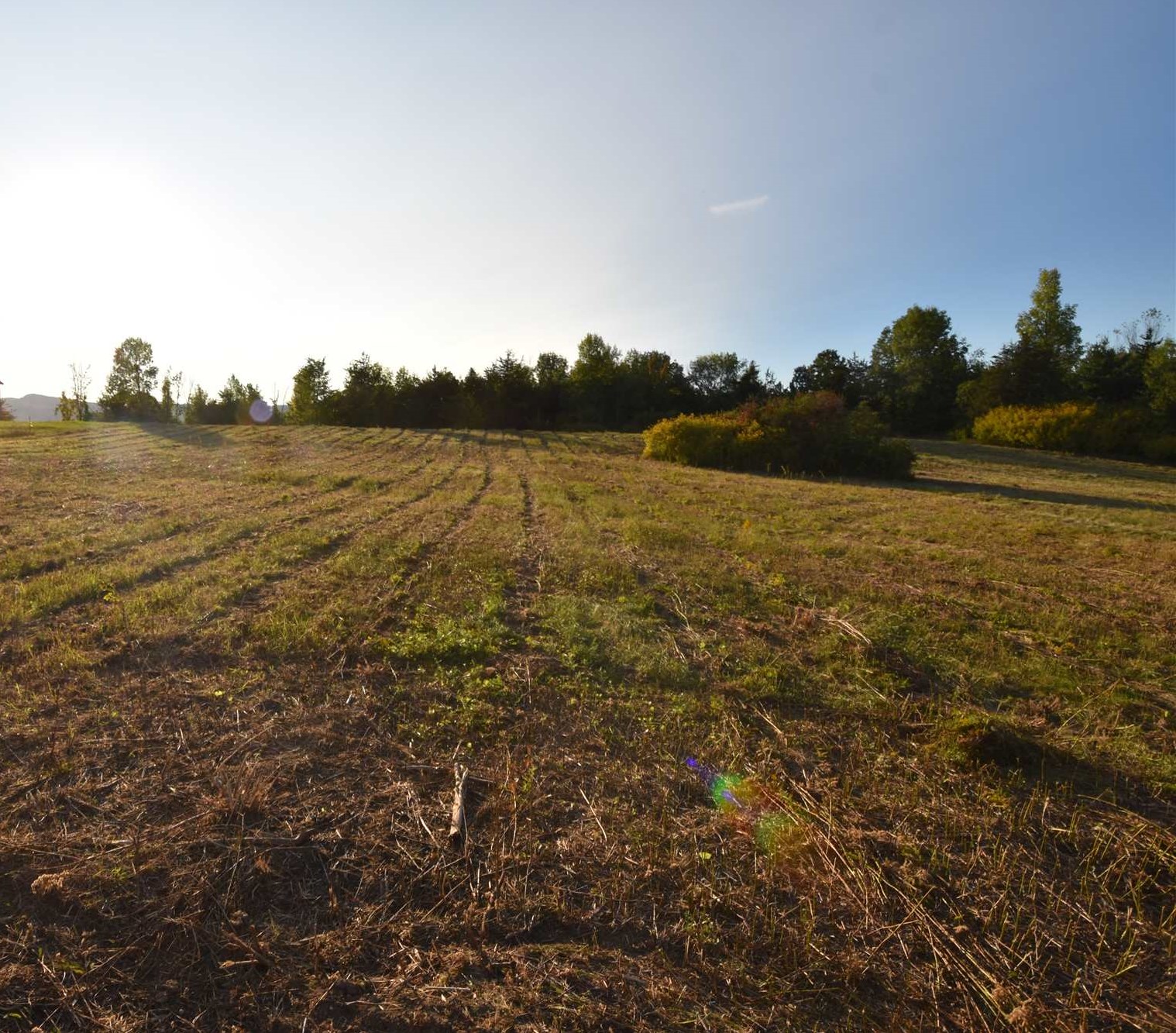 1596 Lake Road, Unit 1 Panton, VT 05491 - Photo 6 of 14