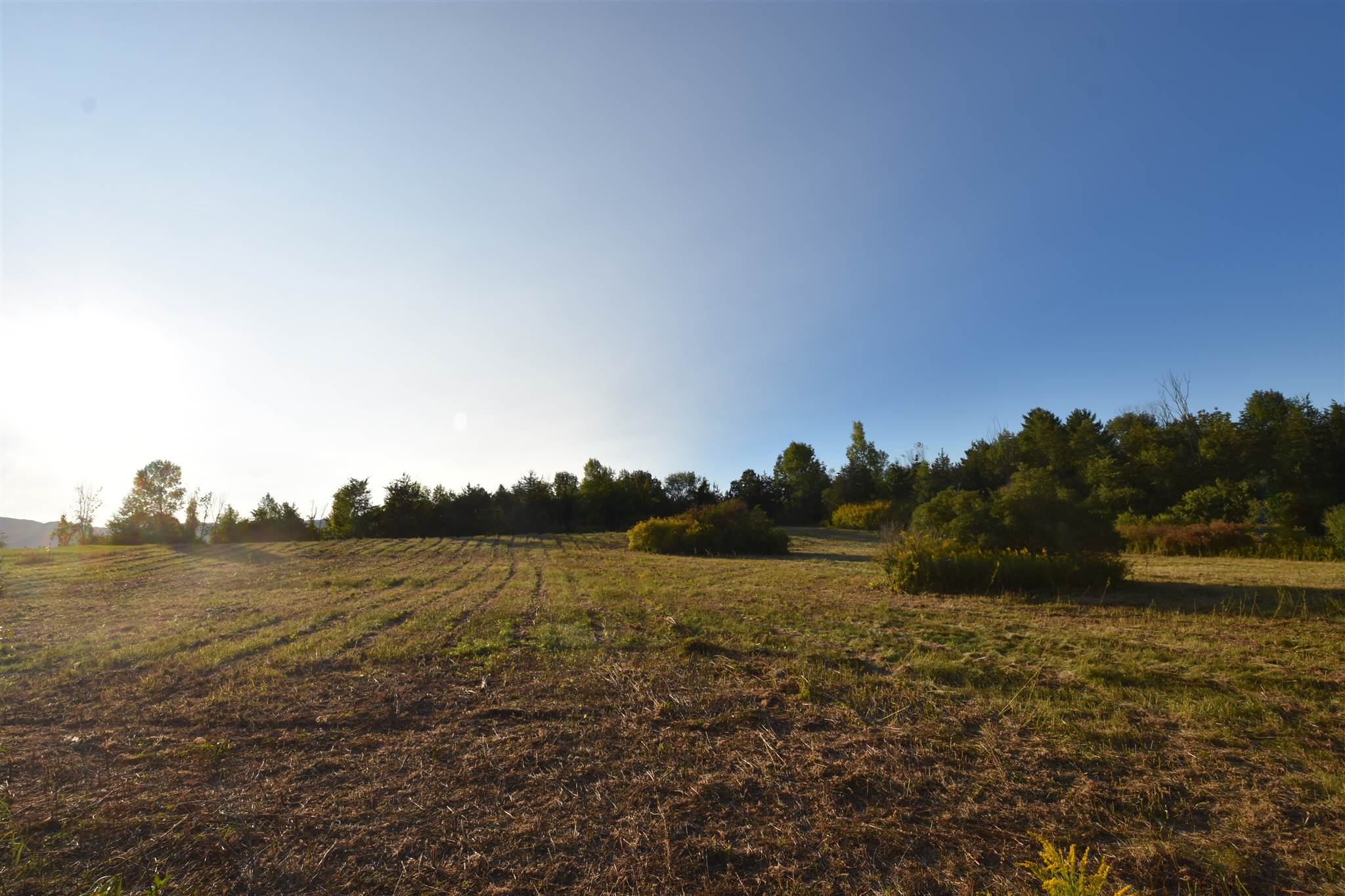 1596 Lake Road, Unit 1 Panton, VT 05491 - Photo 7 of 14