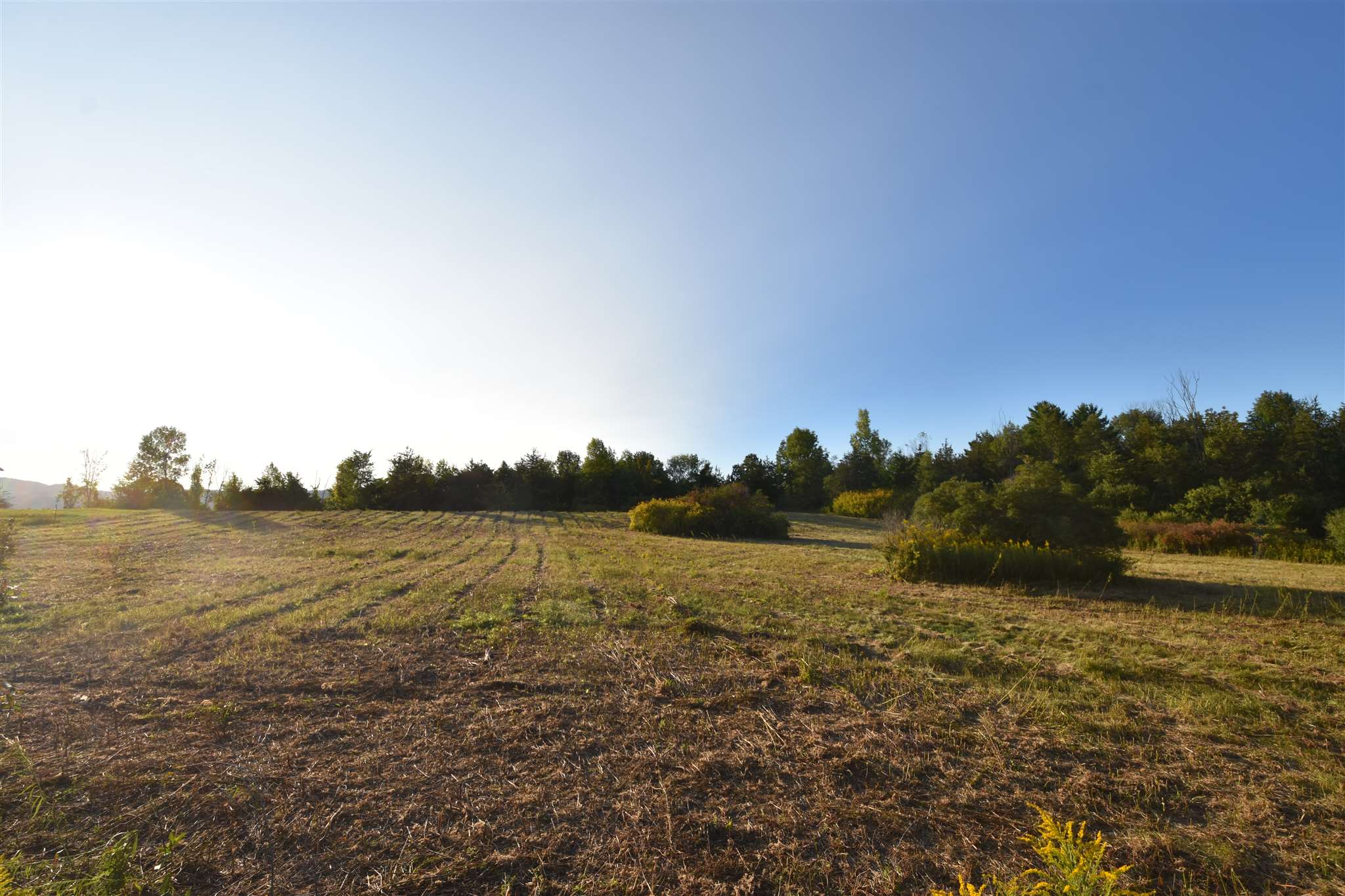 1596 Lake Road, Unit 1 Panton, VT 05491 - Photo 8 of 14
