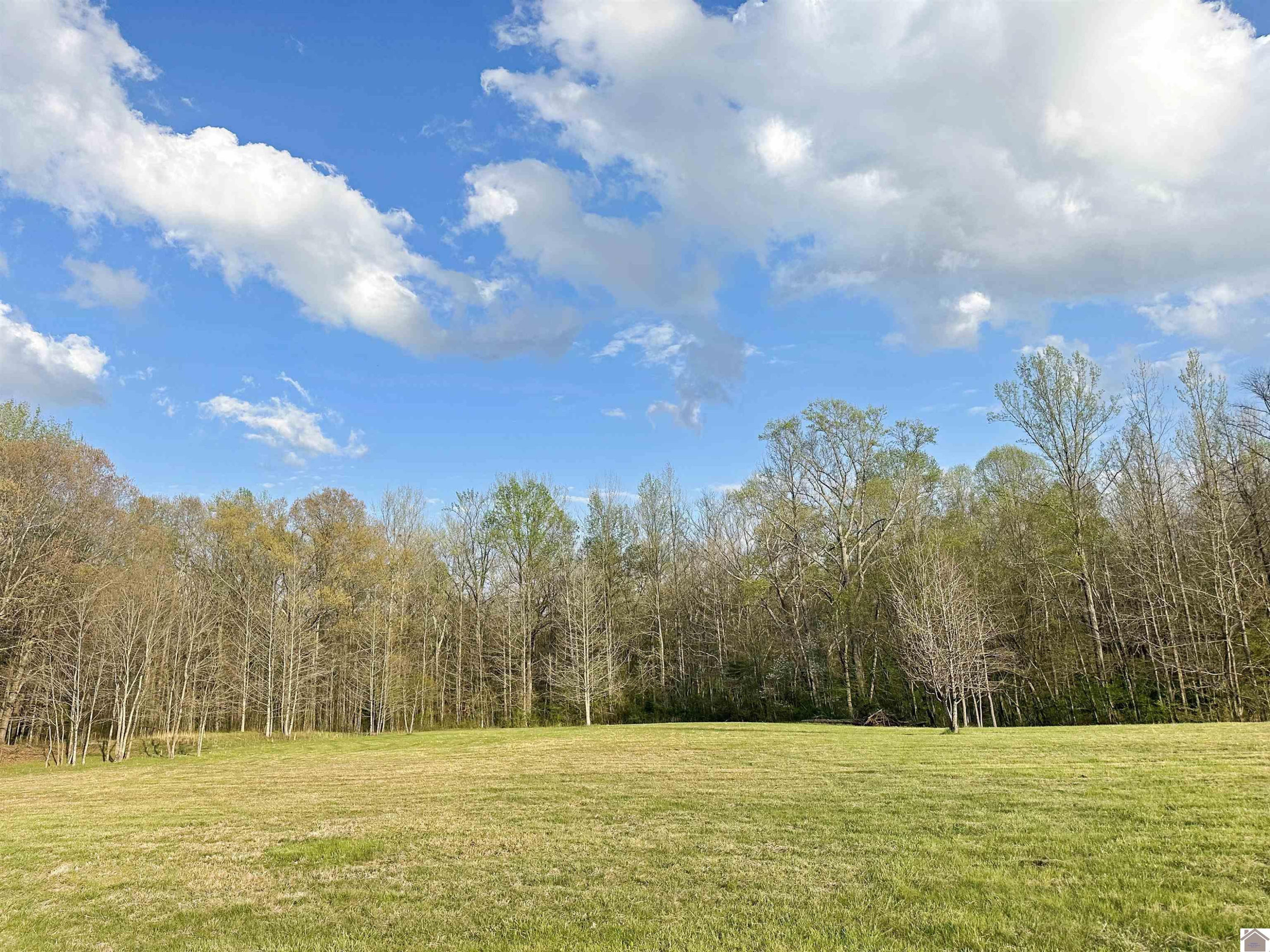 4047 Irvin Cobb Road Murray, KY 42071 - Photo 5 of 28 Photo 5