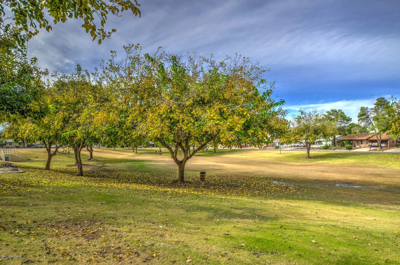 2519 West Vineyard Road Tempe, AZ 85282 - Photo 45 of 50 park-3