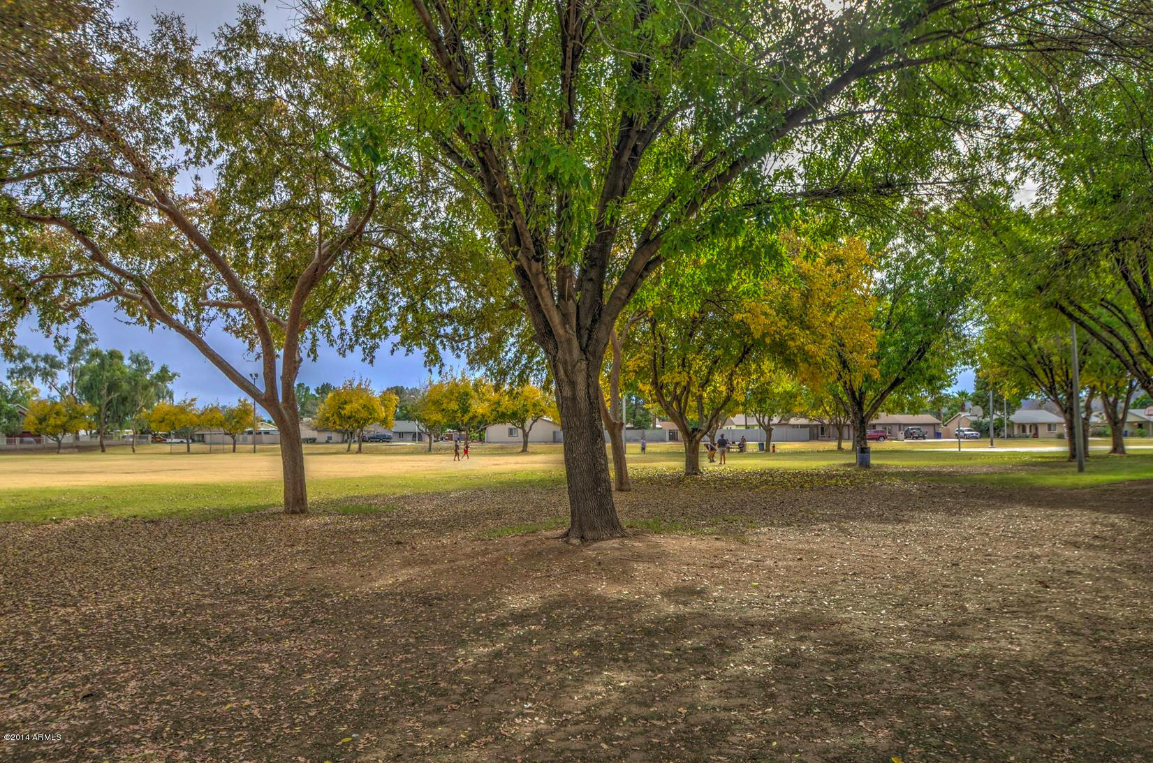 2519 West Vineyard Road Tempe, AZ 85282 - Photo 48 of 50 park-6