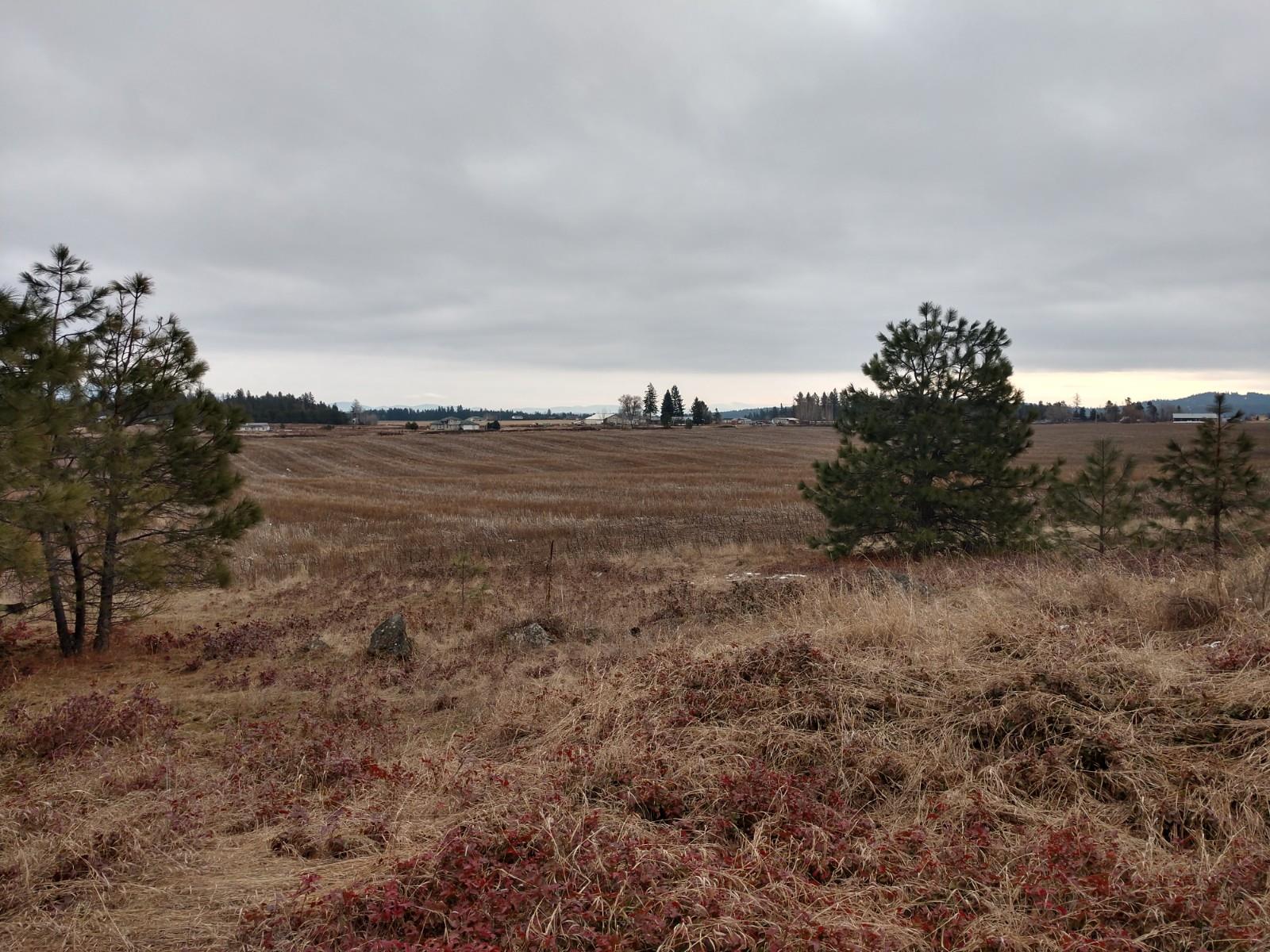 0 North Spotted Road, Unit LOT A Deer Park, WA 99006 - Photo 12 of 20 Gallery Image 12