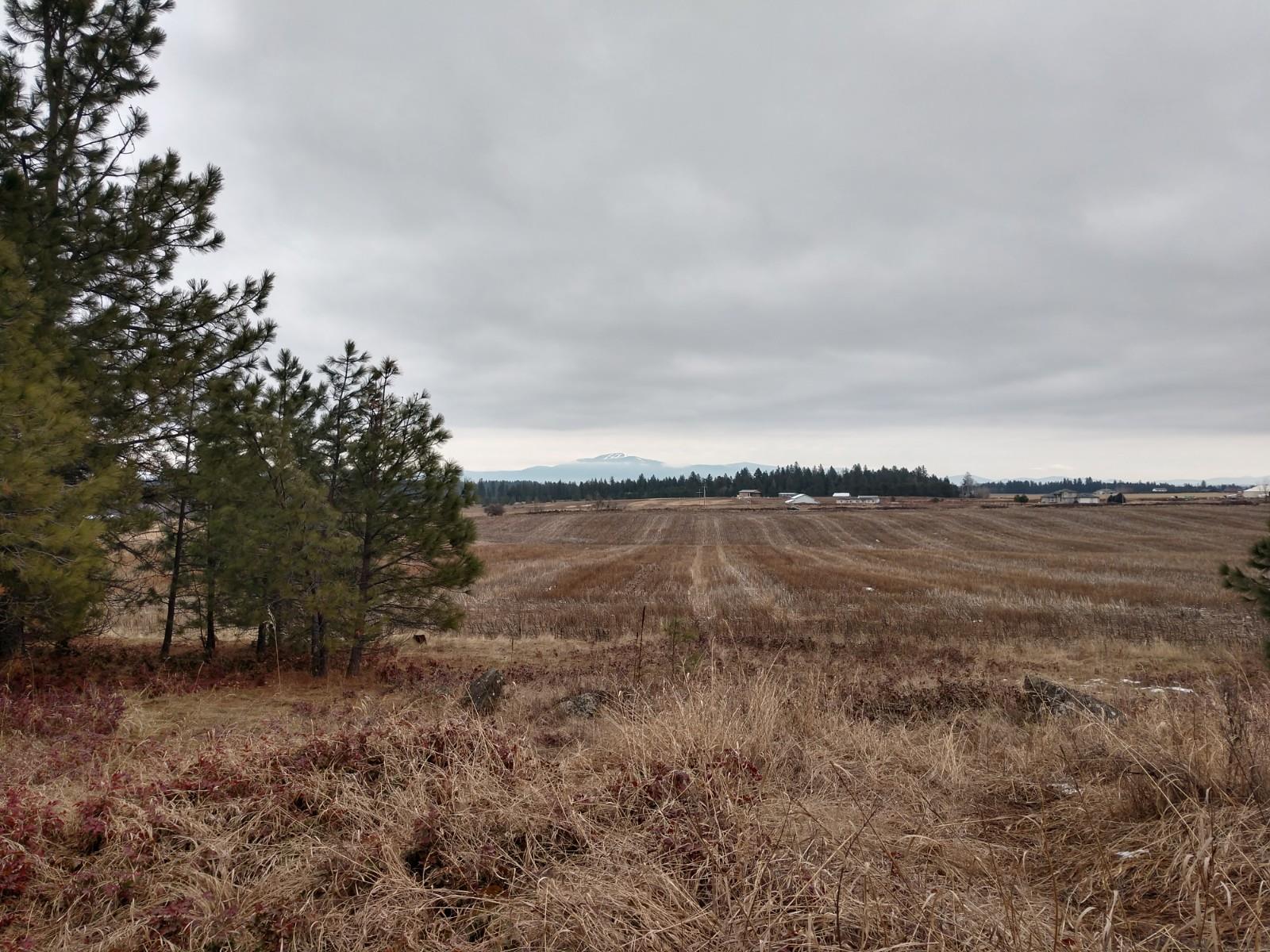0 North Spotted Road, Unit LOT A Deer Park, WA 99006 - Photo 13 of 20 Gallery Image 13