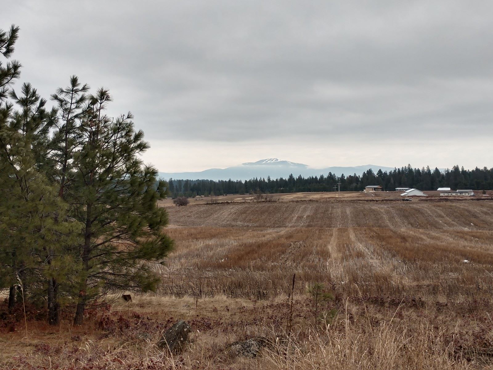 0 North Spotted Road, Unit LOT A Deer Park, WA 99006 - Photo 14 of 20 Gallery Image 14