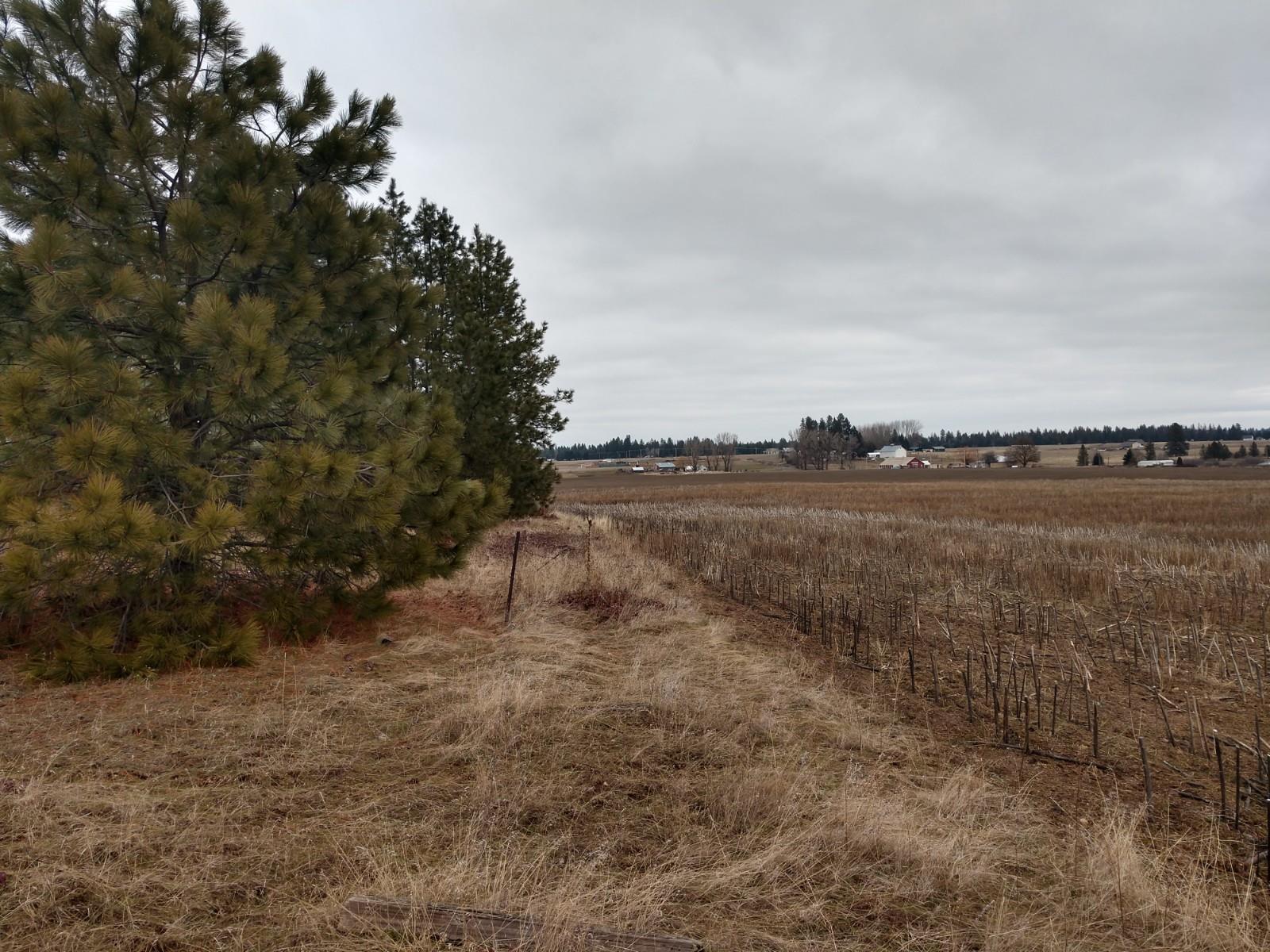 0 North Spotted Road, Unit LOT A Deer Park, WA 99006 - Photo 17 of 20 Gallery Image 17
