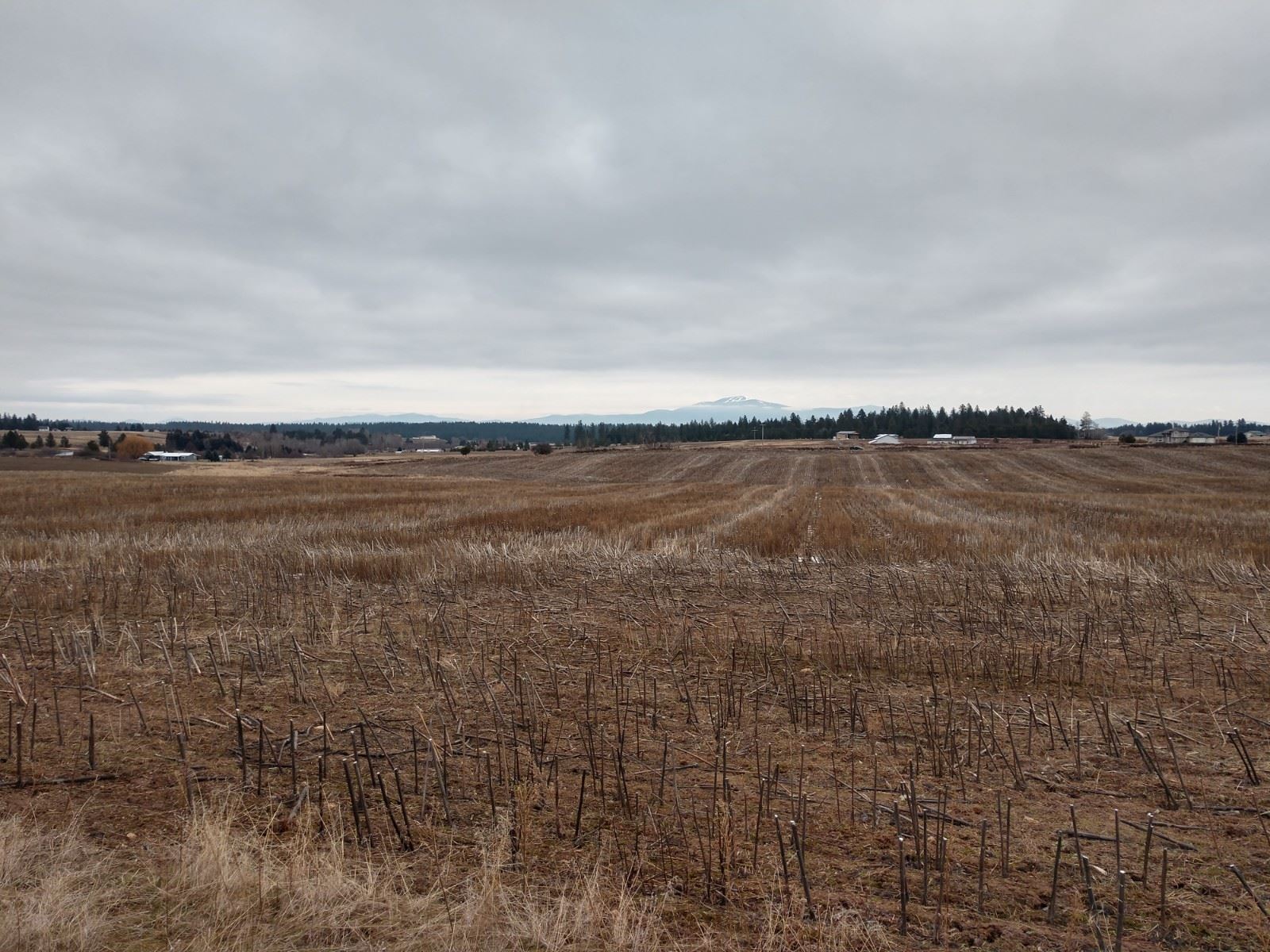 0 North Spotted Road, Unit LOT A Deer Park, WA 99006 - Photo 18 of 20 Gallery Image 18