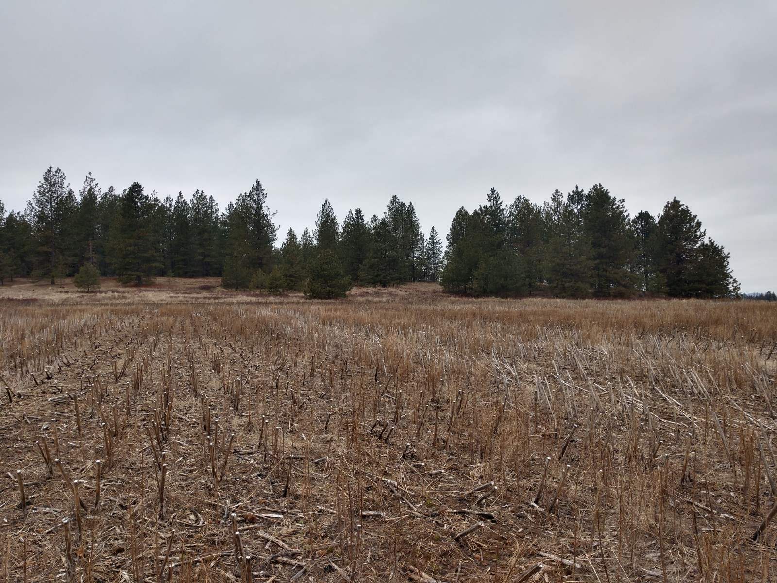 0 North Spotted Road, Unit LOT A Deer Park, WA 99006 - Photo 19 of 20 Gallery Image 19