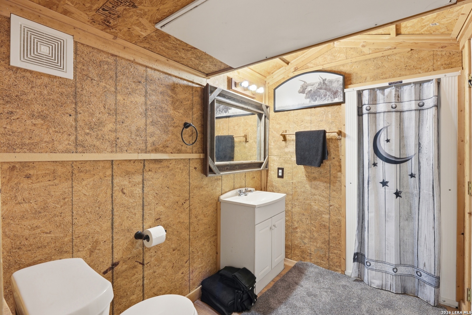 423 Las Hadas Spring Branch, TX 78070 - Photo 19 of 29 a bathroom with a toilet a sink and shower