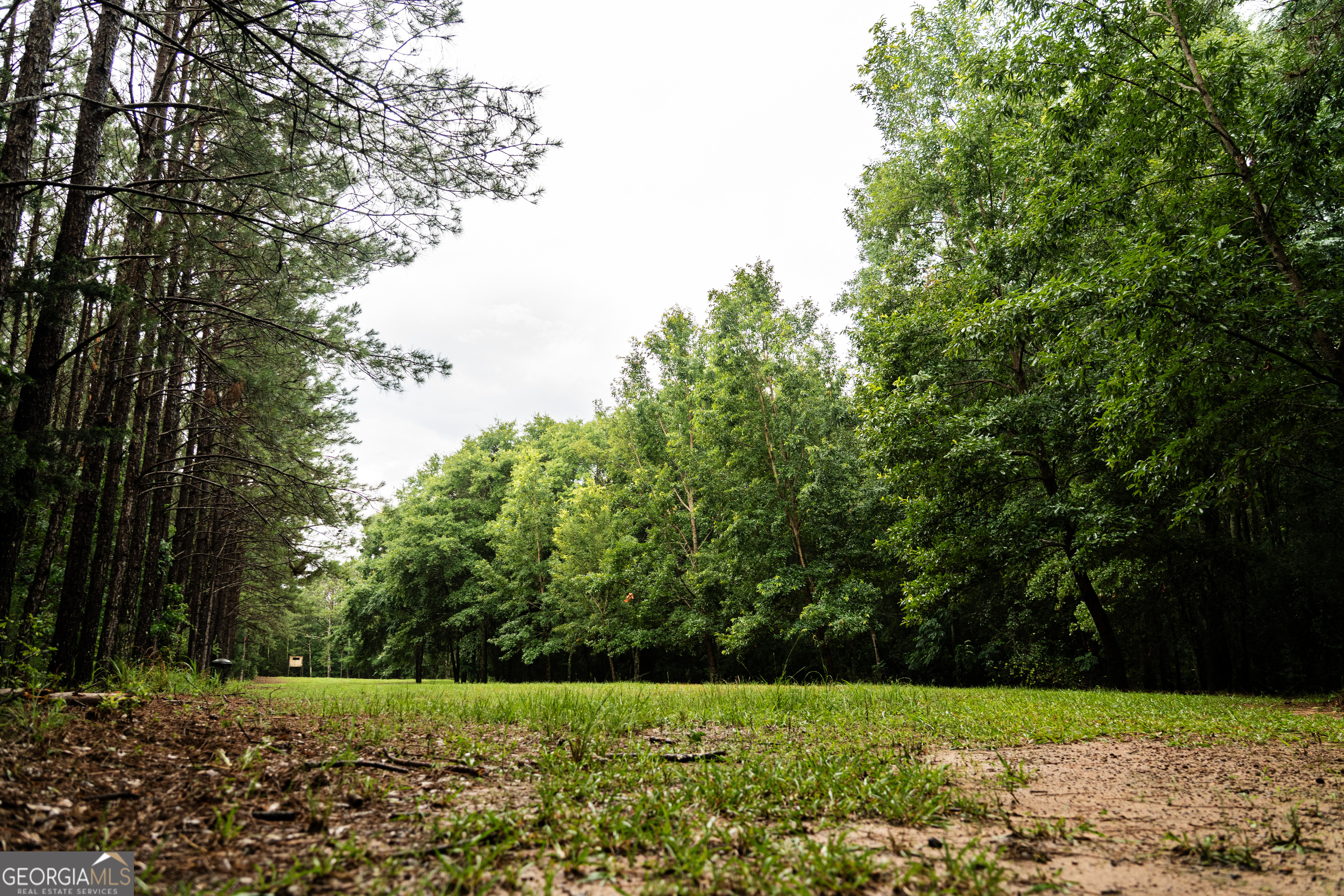 990 Highway 49 Americus, GA 31719 - Photo 64 of 121