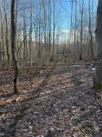 $55,000 | 92 Great Northern Road, Troy, VT 05859