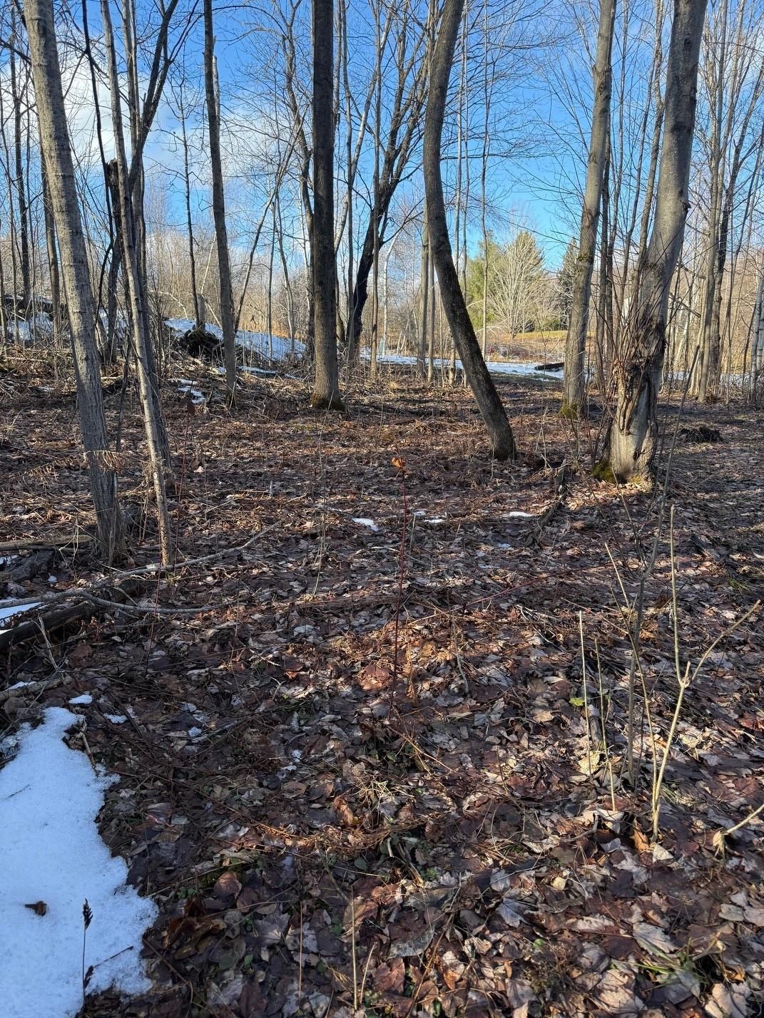 92 Great Northern Road Troy, VT 05859 - Photo 13 of 15