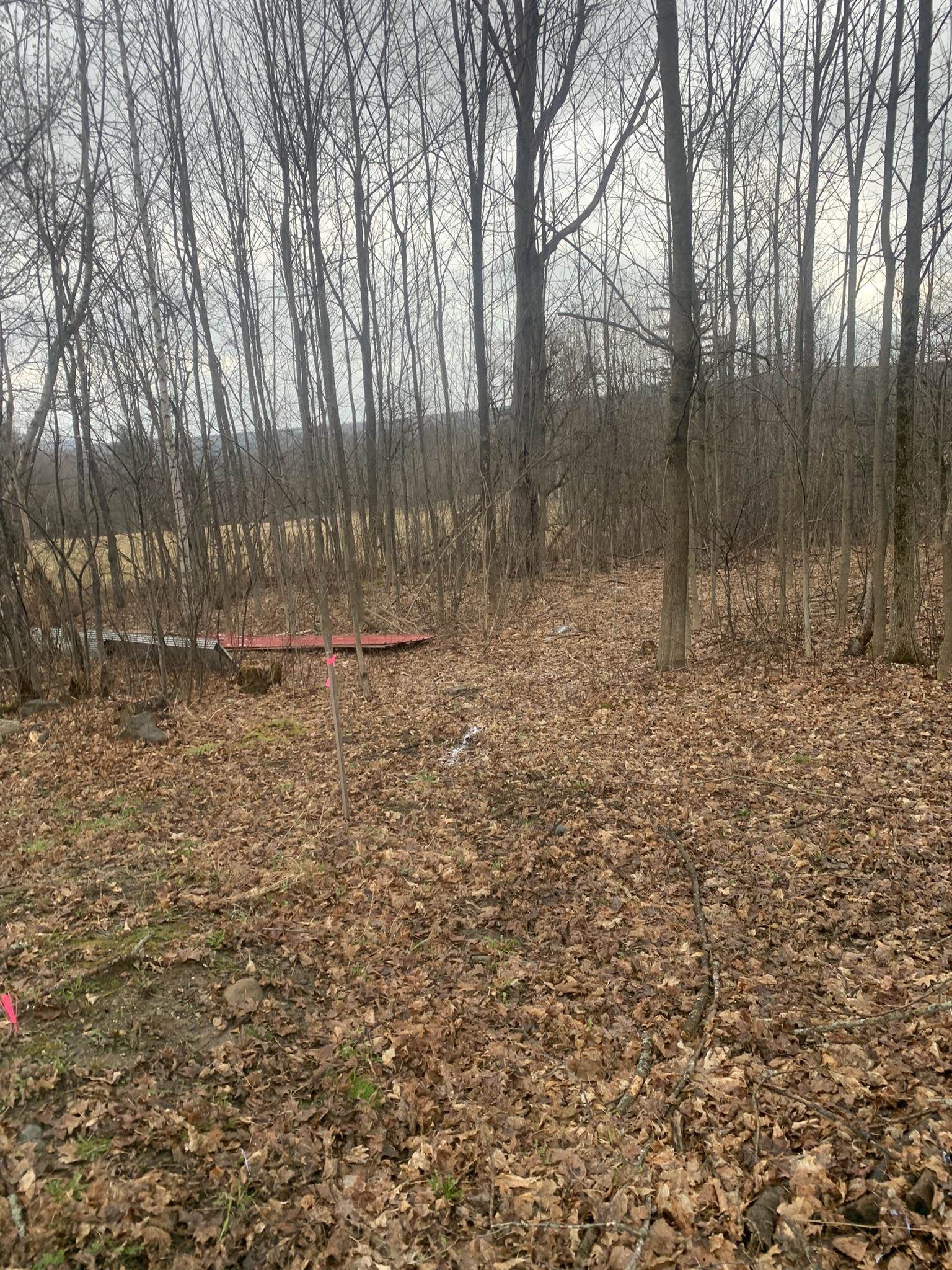 92 Great Northern Road Troy, VT 05859 - Photo 14 of 15