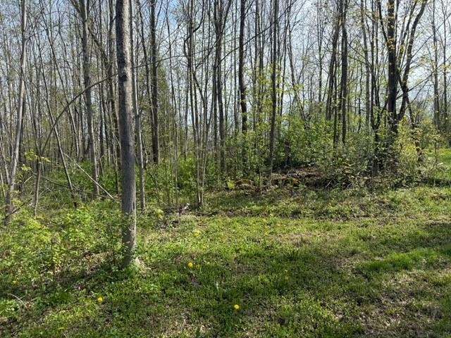 92 Great Northern Road Troy, VT 05859 - Photo 3 of 15