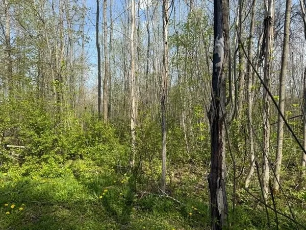 $55,000 | 92 Great Northern Road, Troy, VT 05859