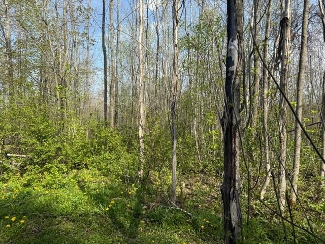 92 Great Northern Road Troy, VT 05859 - Photo 4 of 15