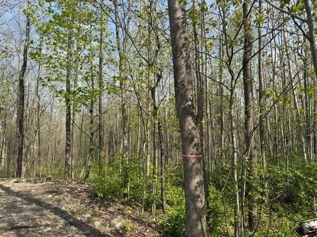 $55,000 | 92 Great Northern Road, Troy, VT 05859