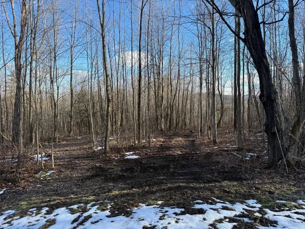 $55,000 | 92 Great Northern Road, Troy, VT 05859