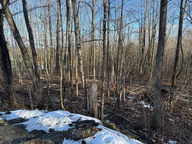 $55,000 | 92 Great Northern Road, Troy, VT 05859