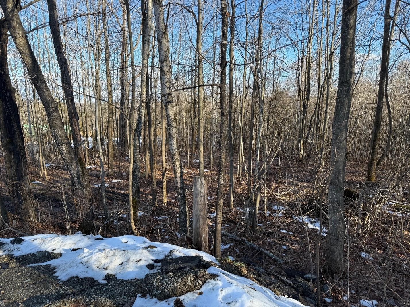 92 Great Northern Road Troy, VT 05859 - Photo 9 of 15